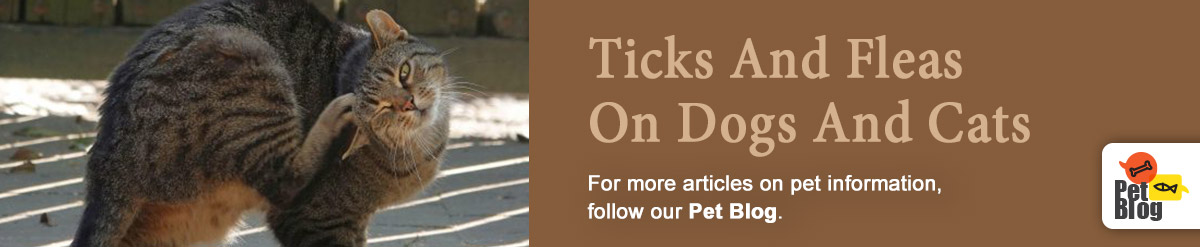 Banner-PetBlog-Ticks-N-Fleas-Dec20.jpg