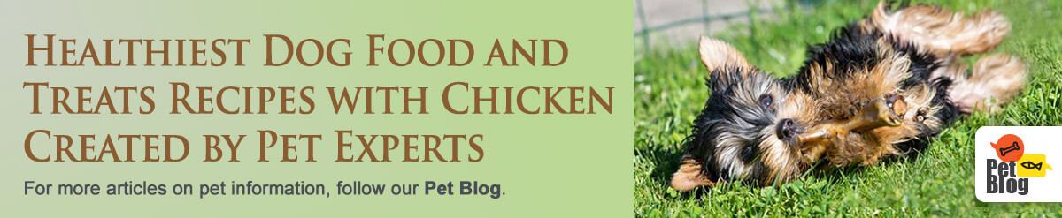 Banner-PetBlog-Healthiest-Recipes-Aug20.jpg