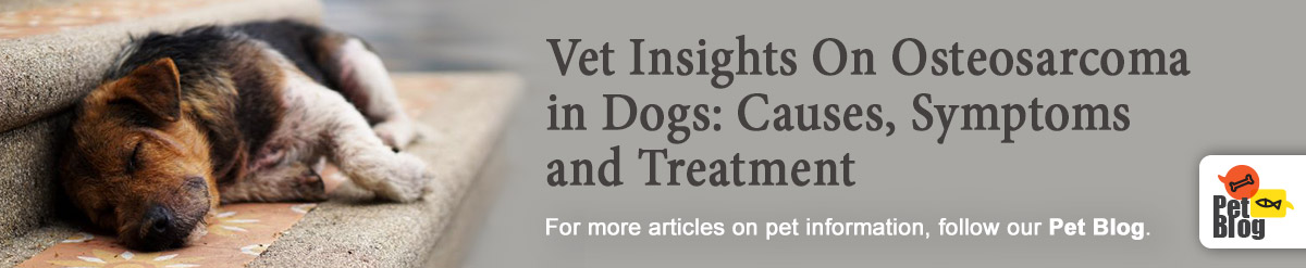 Banner-PetBlog-Osteosarcoma-Dec20.jpg