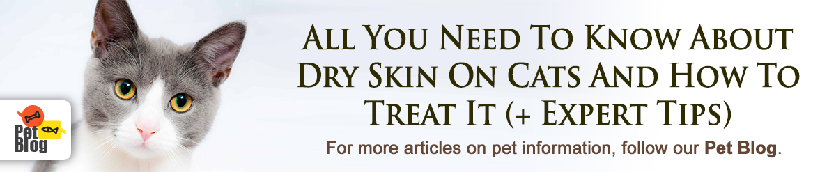 Banner-PetBlog-CatDrySkin-Sep19.jpg