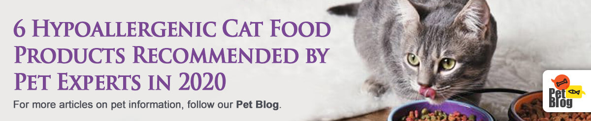 Banner-PetBlog-Hypoallergenic-Cat-Food-Products-Aug20.jpg
